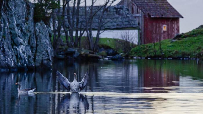 Klikk på bilete for full storleik Klikk på bilete for full storleik